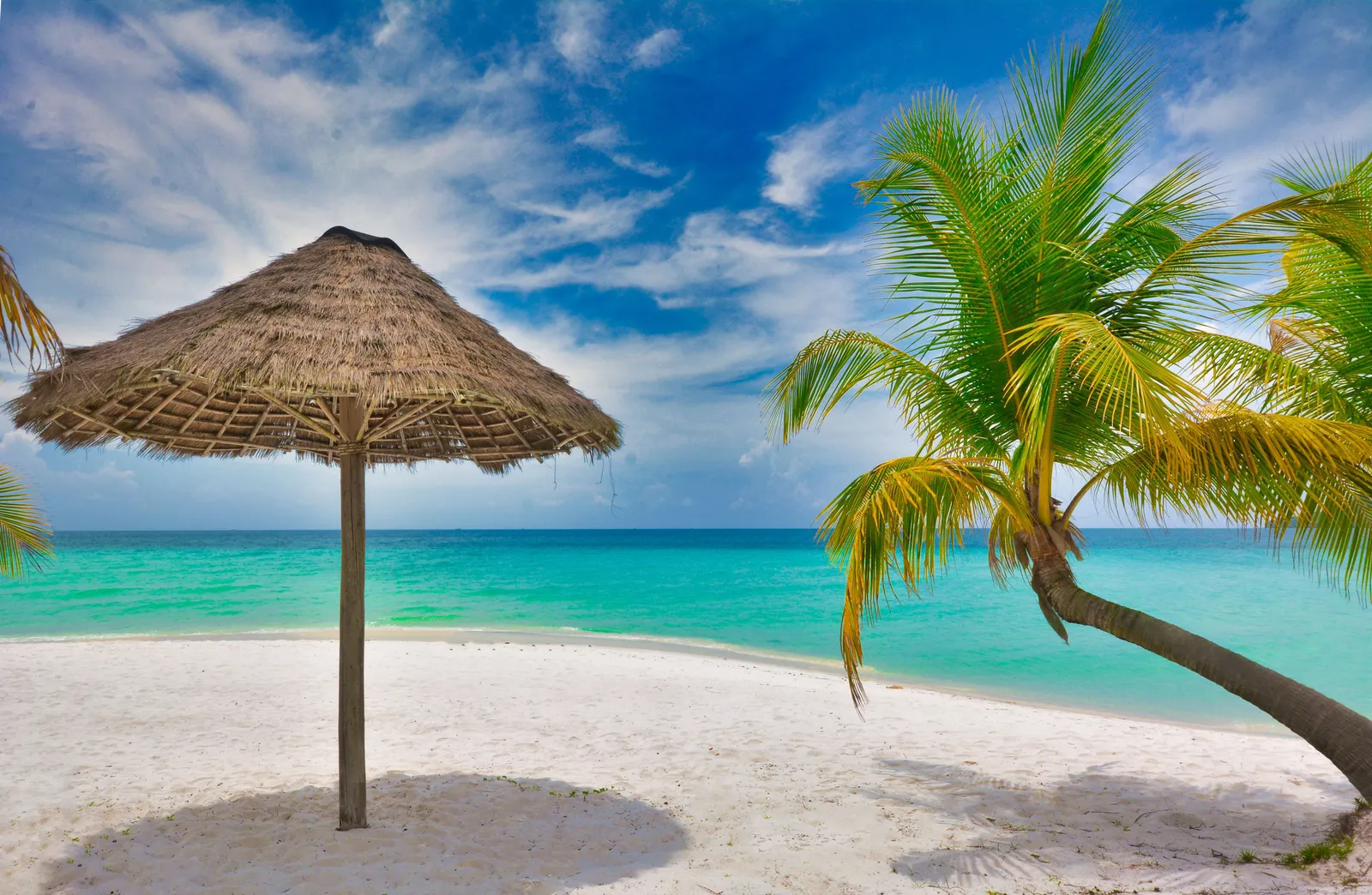 photo d'une plage ciel bleu avec quelques nuages blanc mer turquoise un parasol et un cocotier font un peu d'ombre