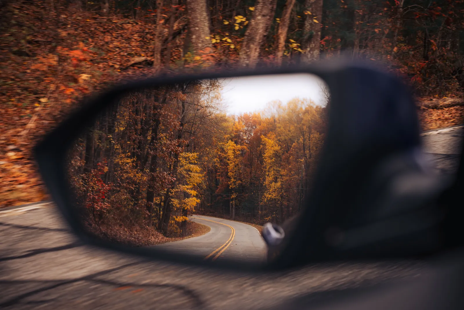 forêt en automne, vue par le rétroviseur d'une voiture